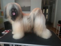 Bristol Cream's Jewel De Luxe